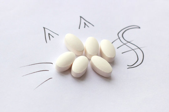 White pharmaceutical pills with cat picture around. Veterinary treatment and medication, animal pharmacy, pet health care and medicine concept.