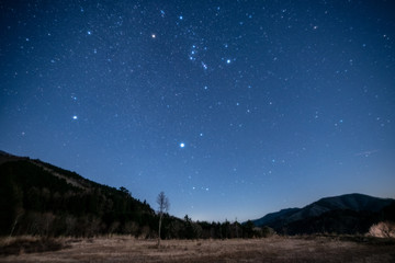 Fototapeta premium 阿智村 星空