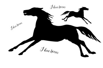 Fototapeta na wymiar pattern black silhouettes of two galloping horses and lettering on white background. 