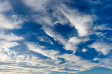 Fototapeta premium white fluffy clouds in the blue sky