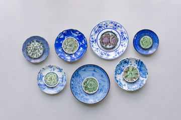 Set of ceramic dishes  with succulent plants on table background. Top view