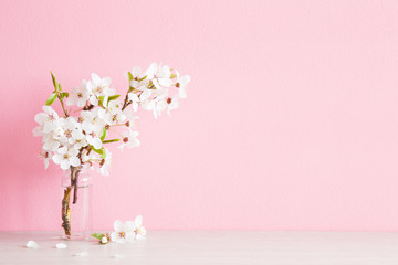 Fresh branches of white cherry blossoms in glass vase on table at pastel pink wall. Empty place for...