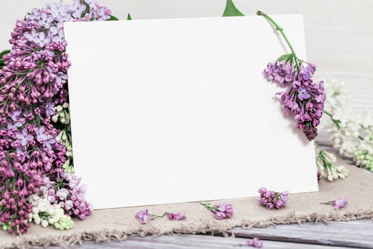 Blooming Lilac flowers and empty space for congratulations. Mock up poster wiht flowers. Greeting card for Birthday, mother's day, anniversary. Selective focus.