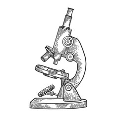 Old Microscope sketch engraving vector illustration. Scratch board style imitation. Hand drawn image.