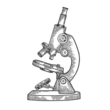 Simple Microscope High-Res Vector Graphic - Getty Images