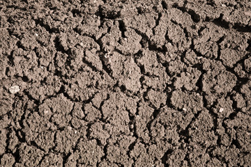 Dry cracked earth background, cracked earth texture