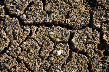 Dry cracked earth background, cracked earth texture