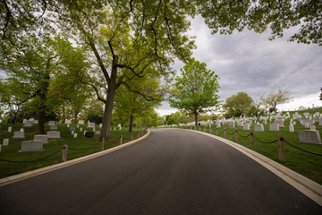Walking path, Arlington Cementary