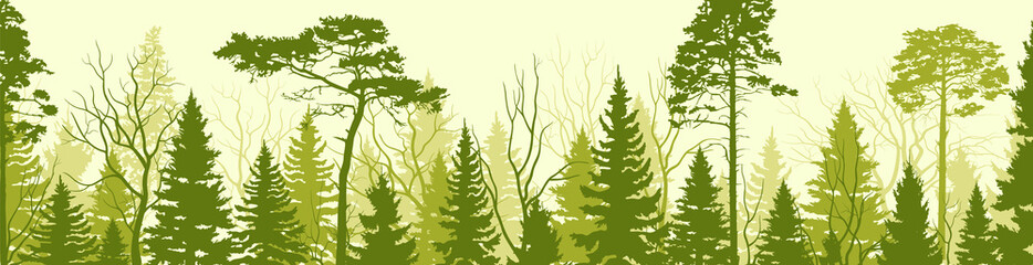 Background with  landscape. Summer forest. Tourism and travelling. Vector flat design