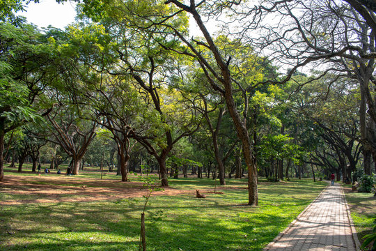Cubbon Park, Bangalore