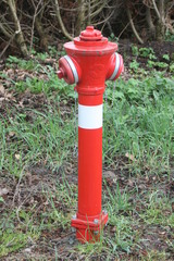 Fototapeta na wymiar Roter Hydrant