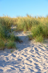 Dünenlandschaft an der Ostseeküste in Heiligenhafen