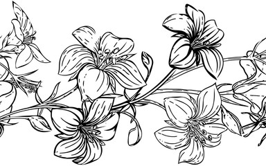 Frame for postcards. Seamless frame design. Hand drawn floristic seamless pattern. Set with simple flowers Bouquet Black & White. Graphic elements drawn with ink, branches of flowers. For postcards.