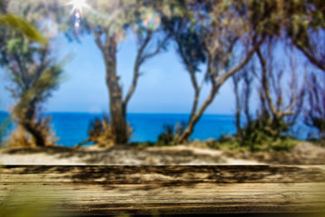 Desk of free space and summer beach landscape with trees 