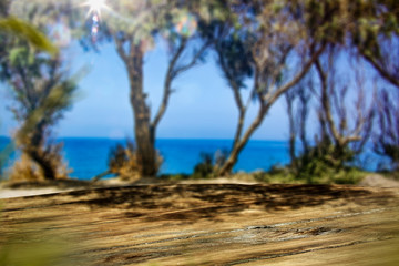 Desk of free space and summer beach landscape with trees 