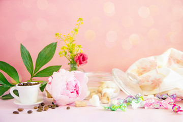 Big beautiful peony flower on a pink background, copy space