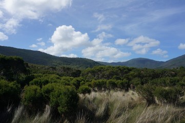 view of mountains