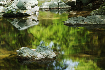 三波渓谷_新緑の水鏡