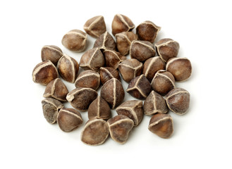 Organic Wingless Moringa (Moringa oleifera) seeds on white background