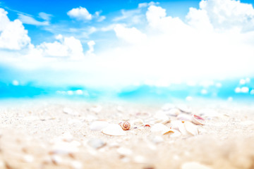 Fototapeta na wymiar Summer vacation and travel holiday concept. Blur beautiful seashell sand tropical beach with bokeh sunlight wave and blue sky white cloud abstract background.