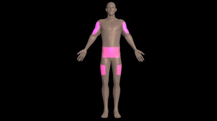 Injection sites on body. Common areas on body to inject  drugs , vaccines , medications , vaccinations , immunization .  3d render