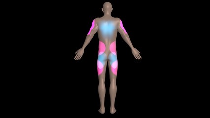 Injection sites on body. Common areas on body to inject  drugs , vaccines , medications , vaccinations , immunization .  3d render