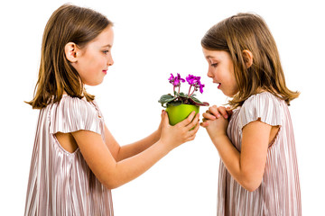 Identical twin girl giving viola flower pot to her sister.