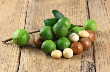 macadamia nuts on old wood