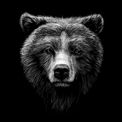 Foto auf Acrylglas Für ihn Monochromes Porträt eines Braunbären, der vor einem schwarzen Hintergrund nach vorne schaut.