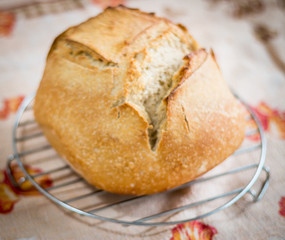 Sourdough Bread