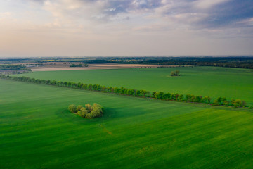 Aerial photography of the fields