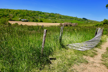 NATURE LYONNAIS