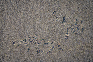 Morning seascape beach images from Nova Scotia Canada