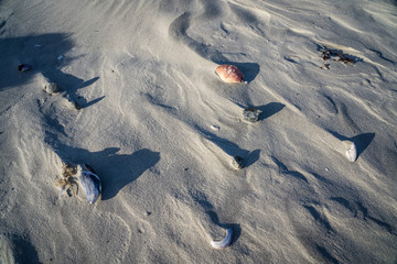 Morning seascape beach images from Nova Scotia Canada