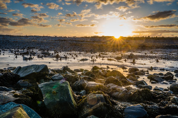 Morning seascape beach images from Nova Scotia Canada