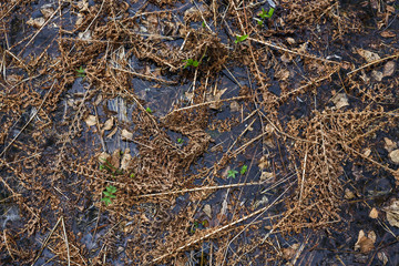 During the flood