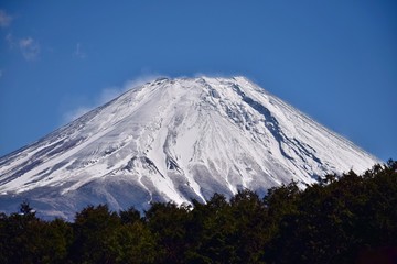 富士山と森林～Mt.Fuji and Forest.