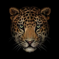 Foto op Plexiglas Color portrait of Jaguar/leopard looking forward on a black background. © AnastasiaOsipova