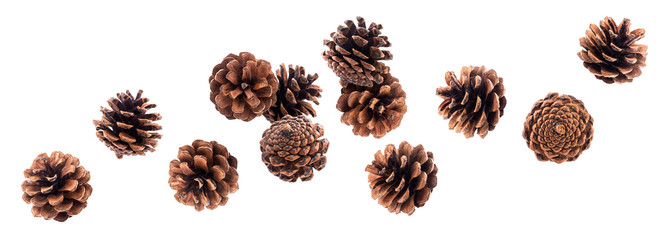 Falling pinecones isolated on white background with clipping path