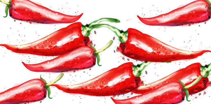 Chili Vector watercolor pattern. Menu restaurant textures on whites