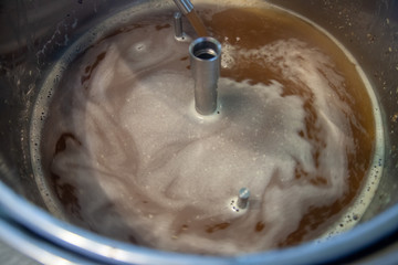 brewing beer in the home automatic brewery in the kitchen