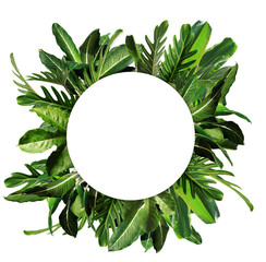 Blank white paper and tropical leaves top view isolated
