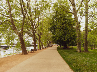 Les parcs de Vichy. Sentier de promenade, route thermale sous les platanes au bord du lac d'Allier 