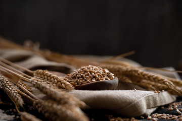 a pile of wheat poured into a spoon of wood lies on the table. Agriculture, new grain harvest