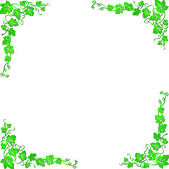 Vector image of a vine with leaves that are well suited for presentations, backgrounds, illustrations.