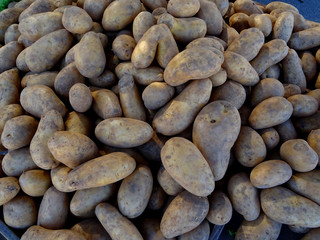buying potatoes at the market stall