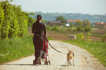 Sunny day in countryside. Mother with Child and Beagle dog walking away