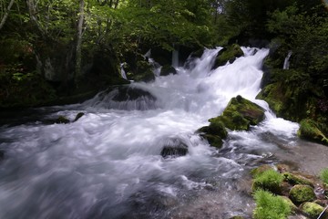 《奥入瀬渓流》青森県十和田市