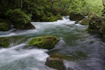 Obraz premium 《奥入瀬渓流》青森県十和田市
