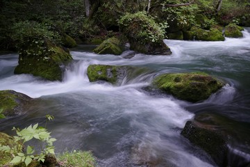 《奥入瀬渓流》青森県十和田市